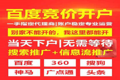 SEM托管实战案例：助力企业品牌形象塑造